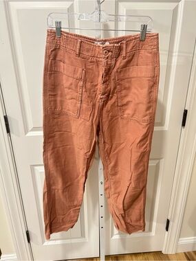 Free People Straight-Leg Utility Pants in Rust